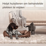 Beaphar hält sich von Spray Cat Dog im Innenbereich aus