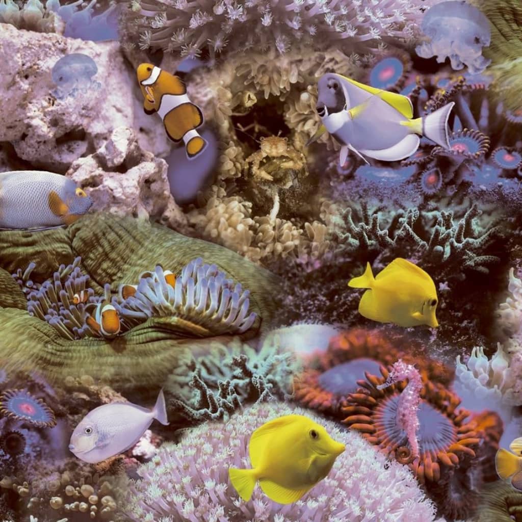 Noordwand bakgrunnsbilde gode vibber korall og tropisk fisk gevinst og lilla