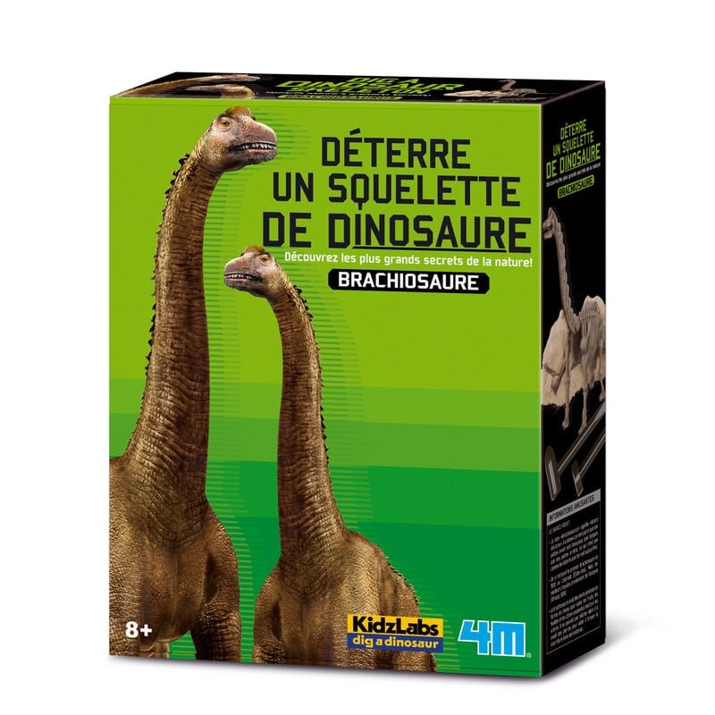 4m dig your own dinosaur on the t rex kidzlabs