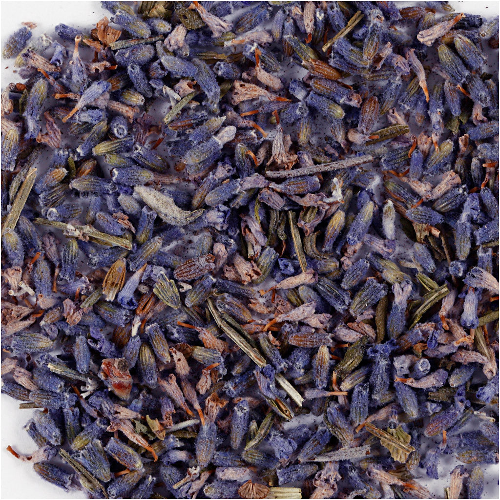 Creativ Company Sèche fleurs lavande bleu, 15gr