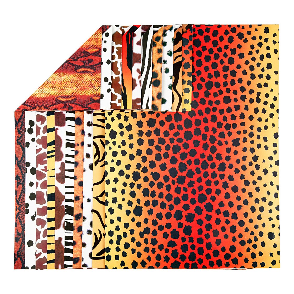 Animal motifs cardboard A4, 10 sheets