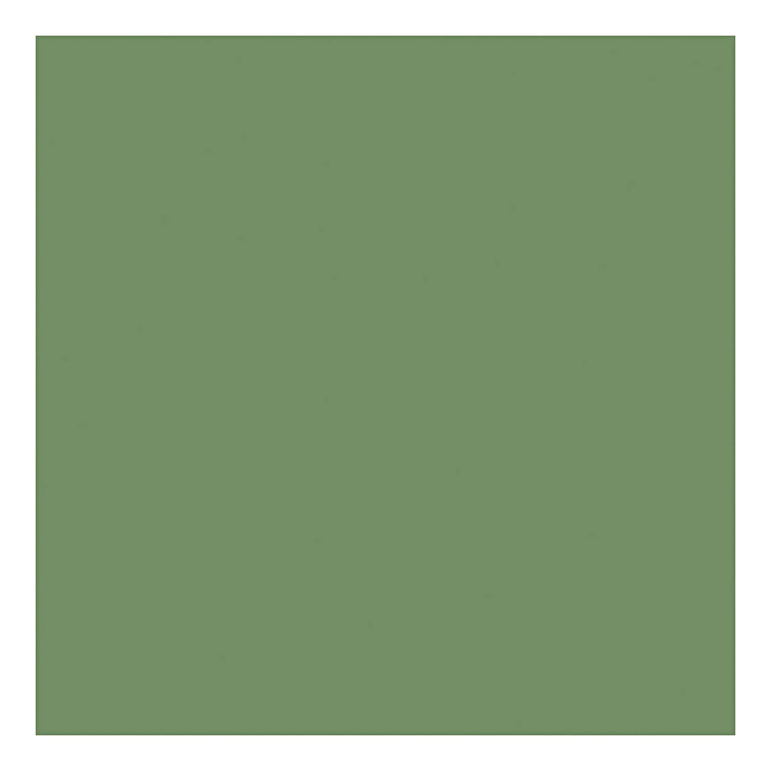 Creativ Company Outdoor Paint - Olive, 250 ml