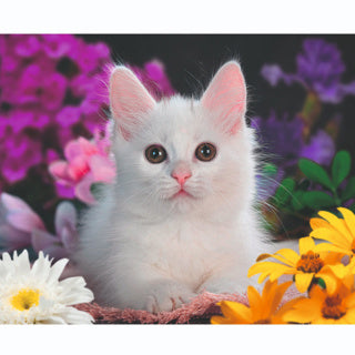 Ravensburger Jigsaw Puzzle XXL Vacker kattunge, 100: e.
