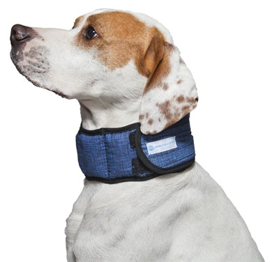 Aqua Cookeekeeper Collar Pacific Blue