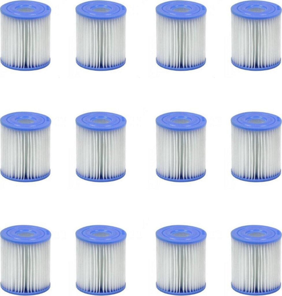 Intex 29007 29008 FilterCartridges H Sett med 12 stykker