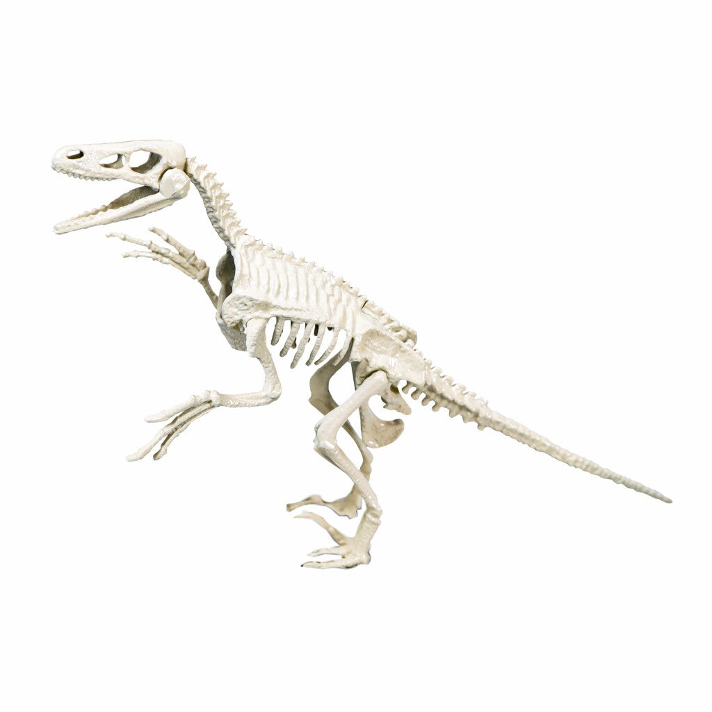 Clementoni Science Game ArcheoSpel Velociraptor