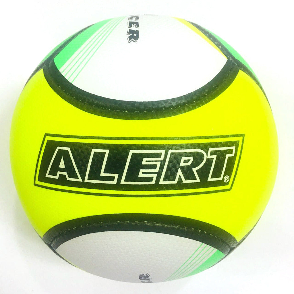 Alert Beach Ball Size 5