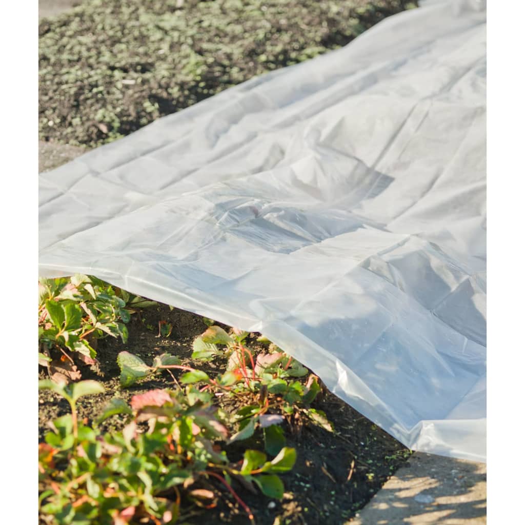 Copertura dell'impianto naturale 4x6 m 100µ trasparente