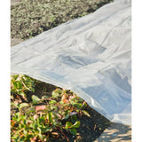 Copertura dell'impianto naturale 4x6 m 100µ trasparente