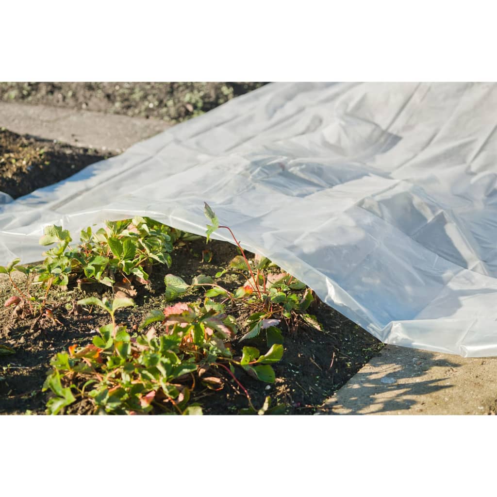 Copertura dell'impianto naturale 4x6 m 100µ trasparente