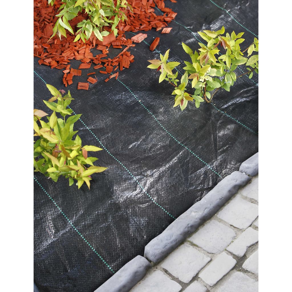 Natur gulerod klud 2x10 m sort