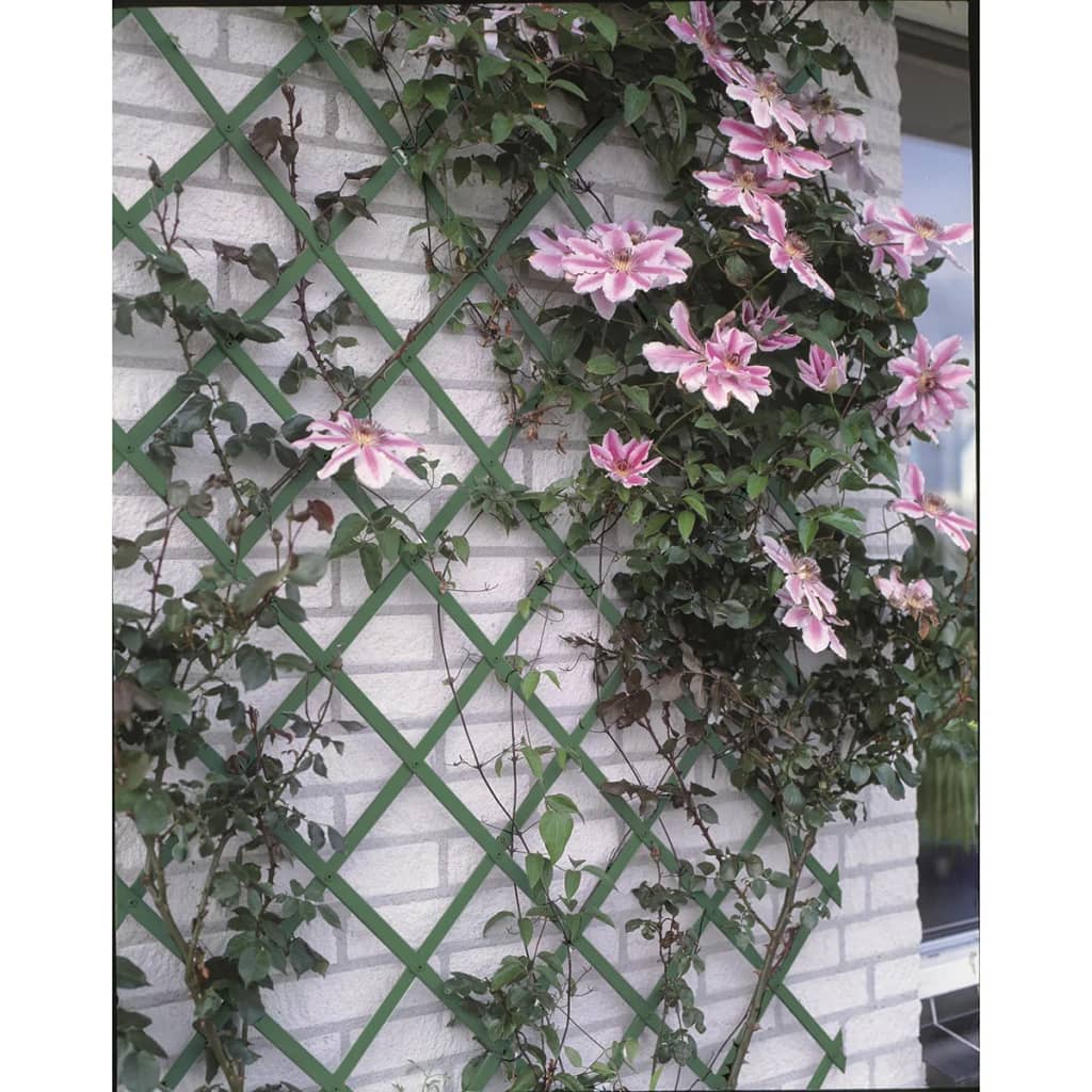 Pianto di arrampicata per piante naturali 100x200 cm PVC verde 6040704