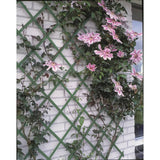 Pianto di arrampicata per piante naturali 100x200 cm PVC verde 6040704