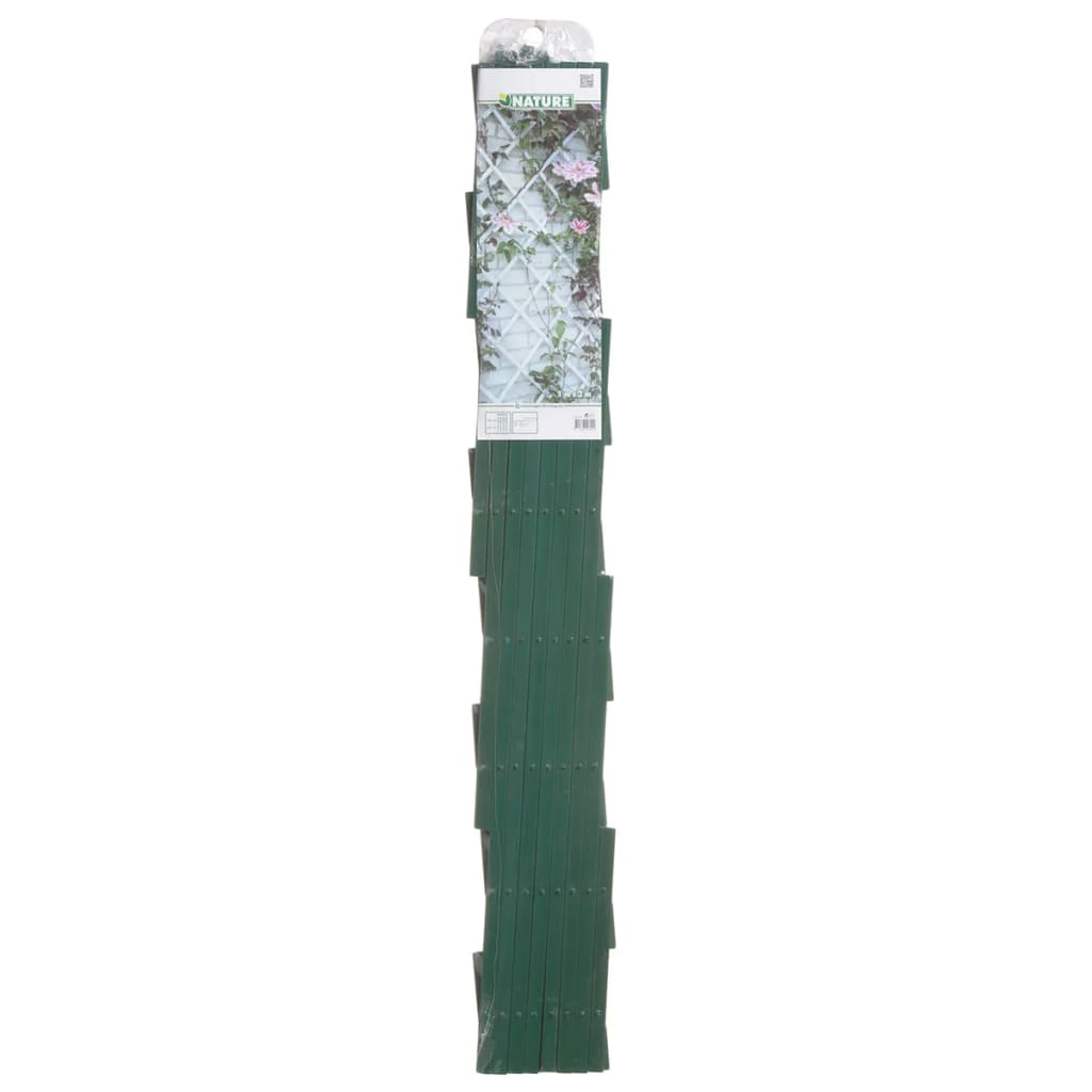 Pianto di arrampicata per piante naturali 100x200 cm PVC verde 6040704