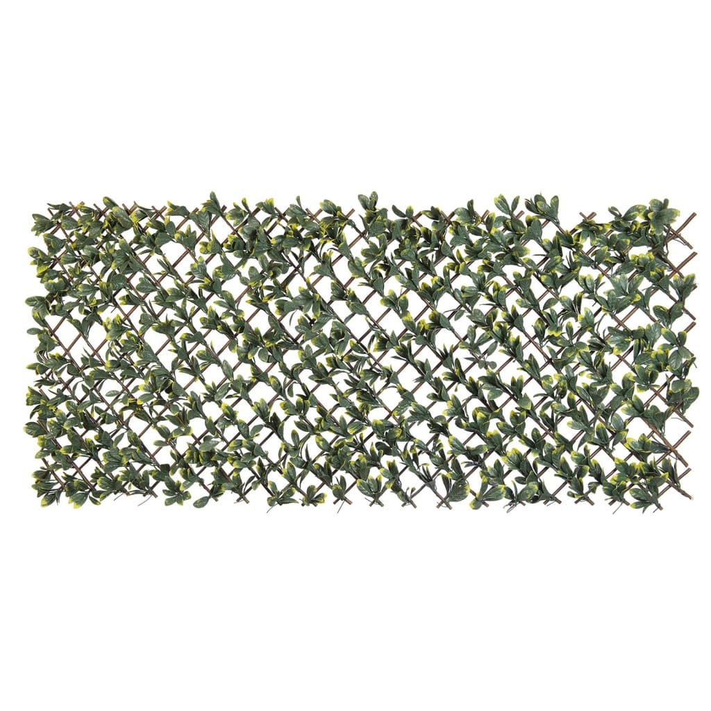 Nature Latwerk med California Liguster Green and Yellow Blade 90x180 cm