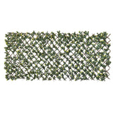 Nature Latwerk med California Liguster Green and Yellow Blade 90x180 cm