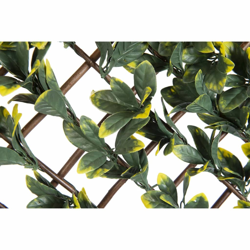 Nature Latwerk med California Liguster Green and Yellow Blade 90x180 cm