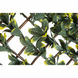 Nature Latwerk med California Liguster Green and Yellow Blade 90x180 cm