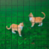 Nature Mesh kwadrat 25 mm 1x2,5 m m plastikowy stalowy zielony