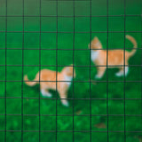 Nature Mesh Square 1x5 m 25 mm plastbelagd stålgrön