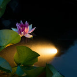 Ubbink Aquaspotlight LED Underwater Lighting