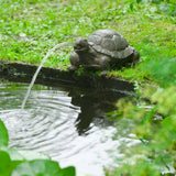 Turtle de figurines ubbink