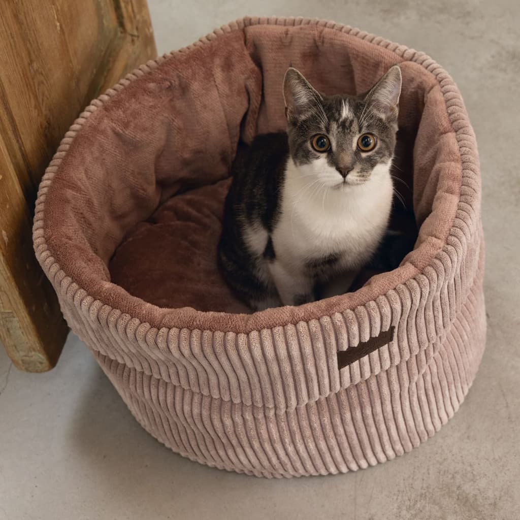 Conçu par Lotte conçu par Lotte Cat Baskred 50x35 cm rose