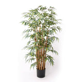 EMAAARD Smaragd Art Planz Bambus Deluxe 145 cm