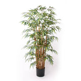 EMAAARD Smaragd Art Planz Bambus Deluxe 145 cm