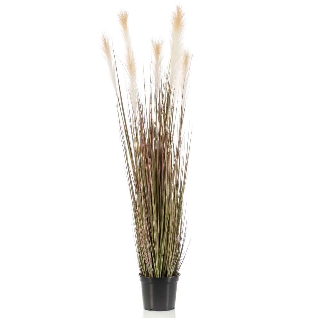 Emoragd Smaragd Art Planz a Plastik Pot Pompas Gras 120 cm