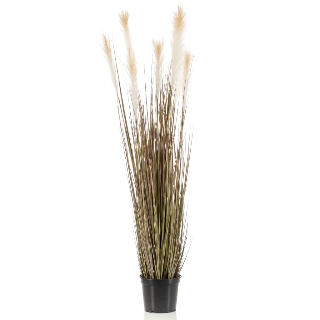 Emoragd Smaragd Art Planz a Plastik Pot Pompas Gras 120 cm