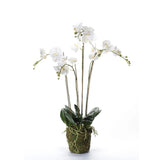 Smaragdová umělecká rostlina orchidej s Moss White 90 cm 20 355
