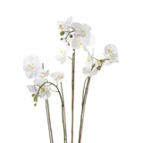 Smaragdová umělecká rostlina orchidej s Moss White 90 cm 20 355