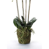 Smaragdová umělecká rostlina orchidej s Moss White 90 cm 20 355