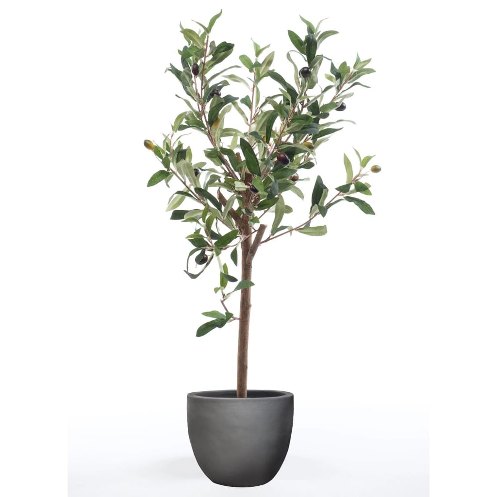 Emoragd Smaragd Art Planz Oliven Bam Mini 65 cm