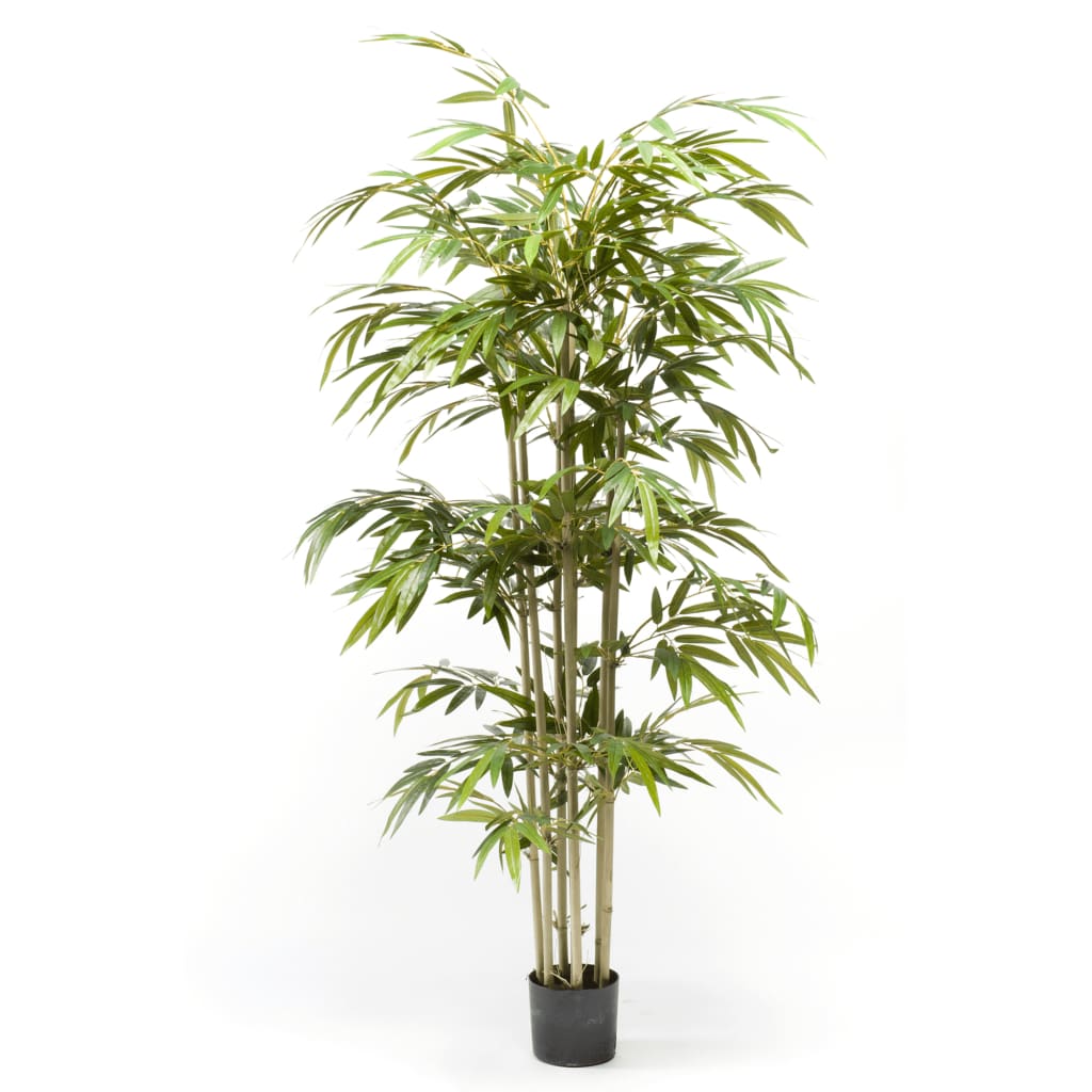 Emoragd Smaragd Art Planz Bambus 150 cm