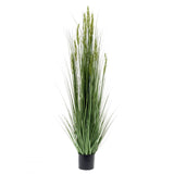 Emoragd Smaragd Art Planz Grain Gras 150 cm
