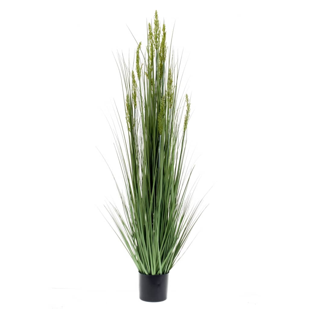 Emoragd Smaragd Art Planz Grain Gras 150 cm