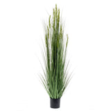 Emoragd Smaragd Art Planz Grain Gras 150 cm
