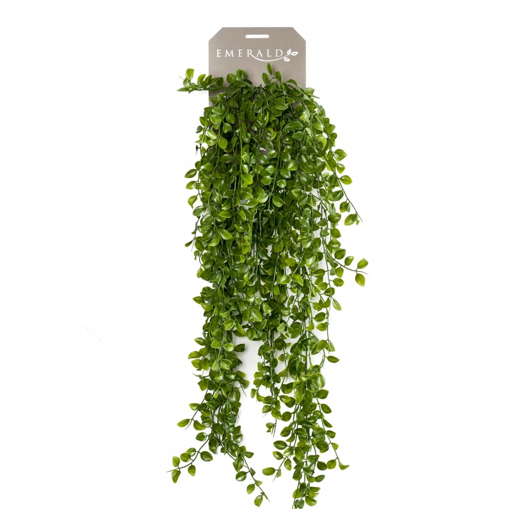 Szmaragdowy szmaragd sztuka wspinaczka Vijg 80 cm