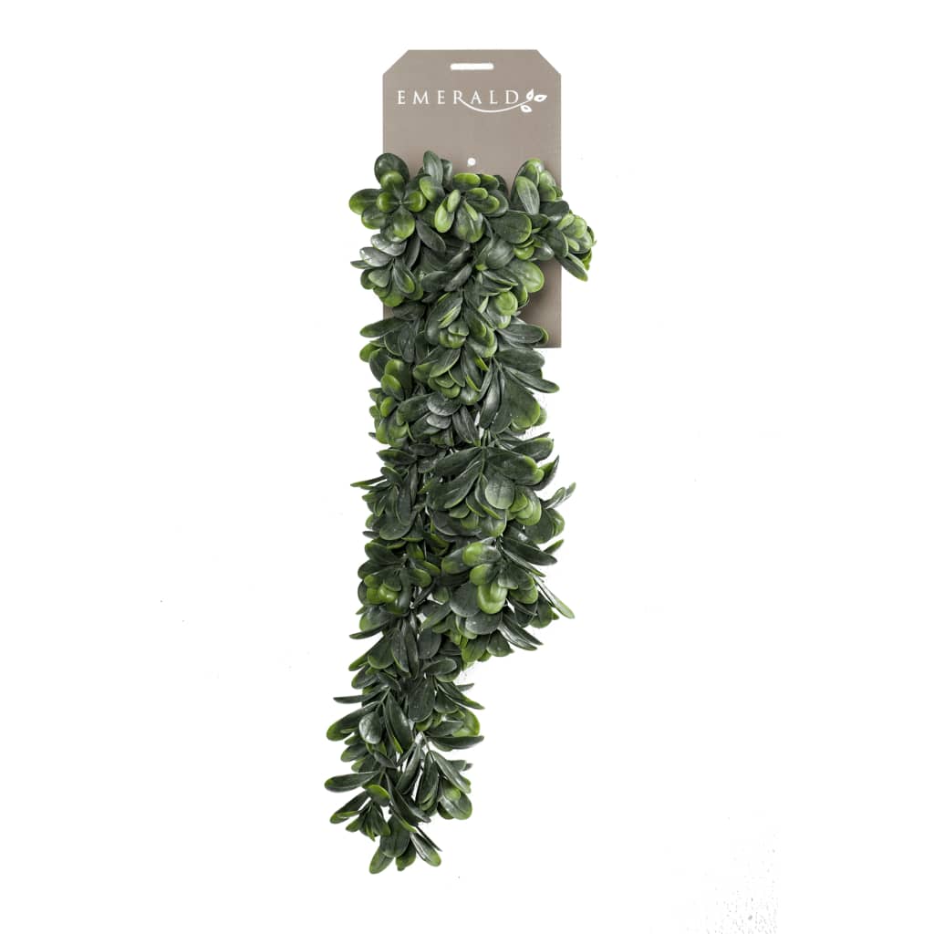 Emoragd Somaragd Art Planz Closinglas 8 cm