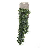 Emoragd Somaragd Art Planz Closinglas 8 cm