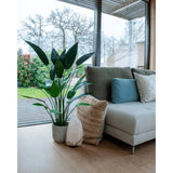 Emachard Smaragd Art Planz Heliconia Planz gréng 125 cm 419837