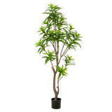 Emoragd Smaragd Art Planz Dracanena 155 cm gréng