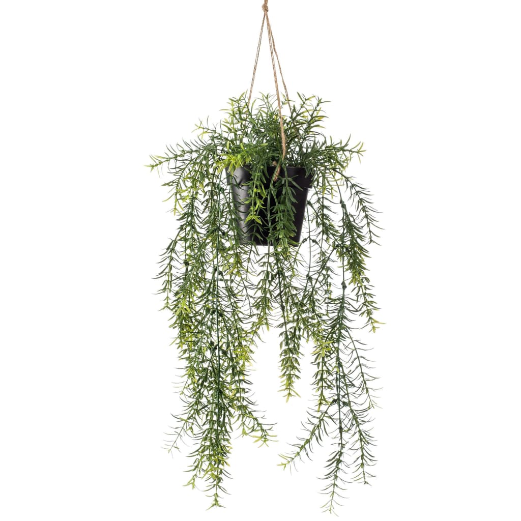 EMAAARD Smaragd Konschtplanz hänkt an der Spargel 50 cm Pot