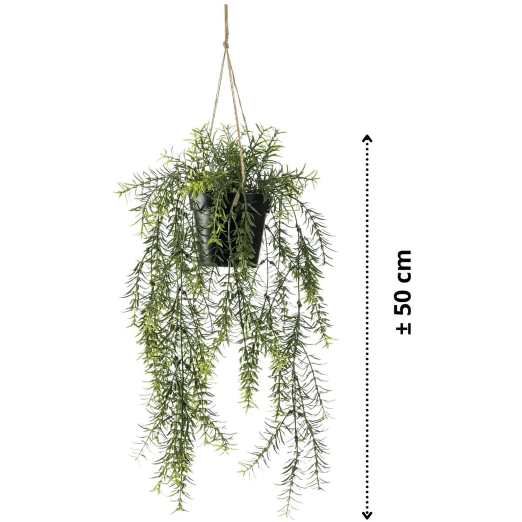 EMAAARD Smaragd Konschtplanz hänkt an der Spargel 50 cm Pot