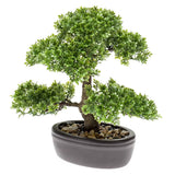 Emoragd Smaragd Art Planz Mini Bonsai ficus Grénge 42 cm 4200020002