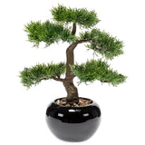 Emoragd Smaragd Art Planz Cleder Bonsai gréng 34 cm 420001