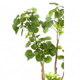 Smaragd Emerald Kunstboom Aralia 135 cm 420292