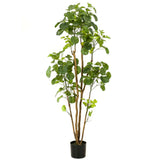 Emald Smaragd Kunstboom am Pot Aralia 160 cm